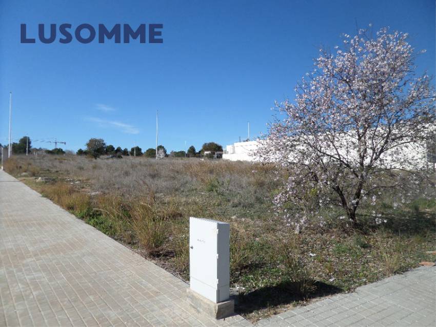 Descripción 441 - URBANO NO RESIDENCIAL.
Parcelas para hostales, hoteles y naves. 

Se venden parcelas urbanas consolidadas de uso terciario.
Desde 84.00