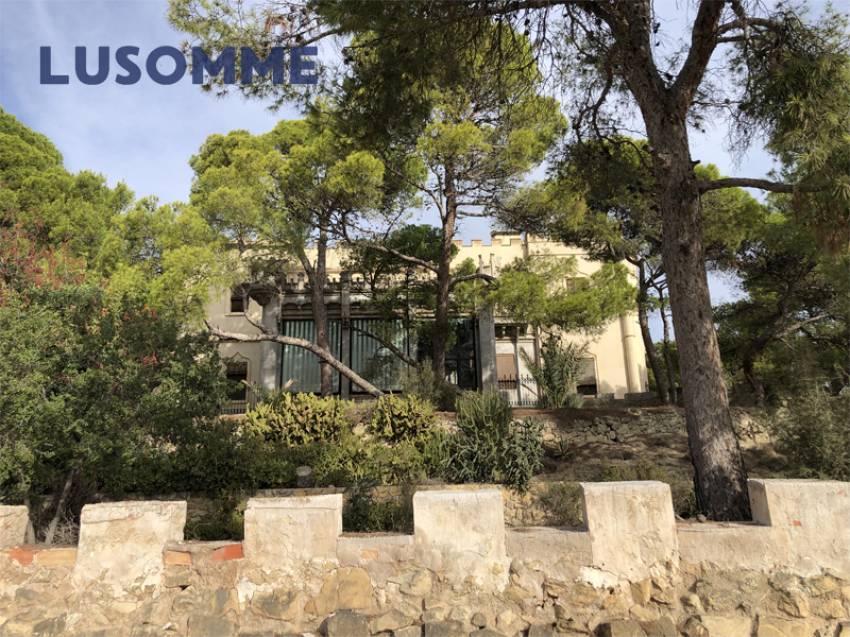 Descripción 451 - Sin comisión inmobiliaria.

Singular Palacete  del Siglo  XIX en La Villajoiosa, con 87.000 m² de parcela con plantación de cítricos 