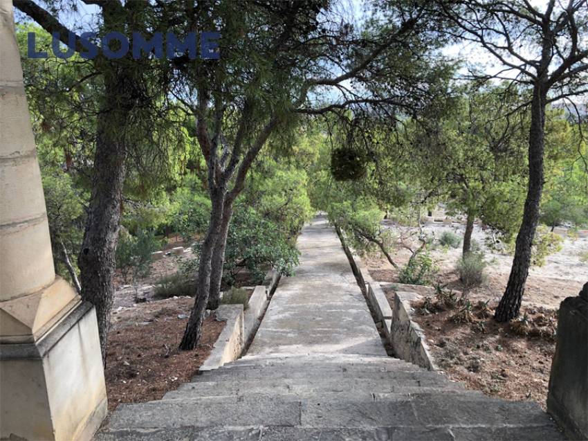 Descripción 451 - Sin comisión inmobiliaria.

Singular Palacete  del Siglo  XIX en La Villajoiosa, con 87.000 m² de parcela con plantación de cítricos 